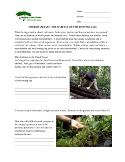 the habitat of the rotting log