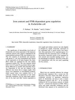 Iron content and FNR-dependent gene regulation in Escherichia coli