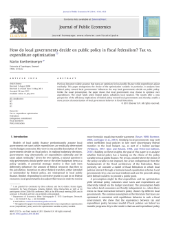 How do local governments decide on public policy in fiscal