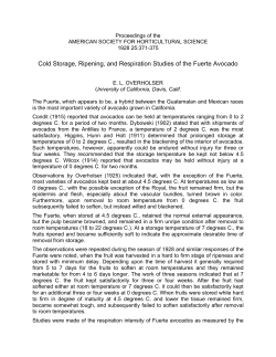 Full Text in PDF - Avocadosource.com