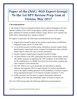 Statement to the 2017 NPT Prep Com by the group of NGO experts