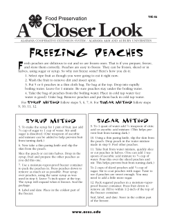 Freezing Peaches - Alabama Cooperative Extension System