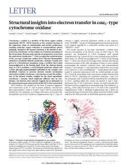 Structural insights into electron transfer in caa3-type