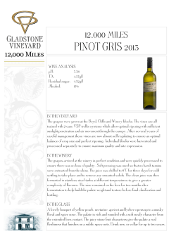12000 miles pinot gris 2013
