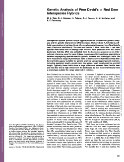 Genetic Analysis of Pere David`s x Red Deer