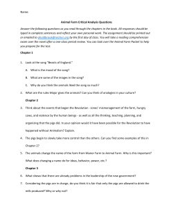 See the critical analysis packet here.