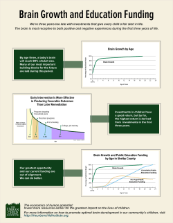 Brain Growth and Education Spending.handout