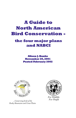 A Guide to North American Bird Conservation
