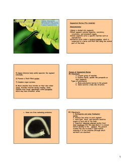 Segmented Worms (The Annelids) Characteristics 1)Body is divided
