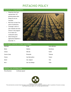 Pistachio Insurance Information