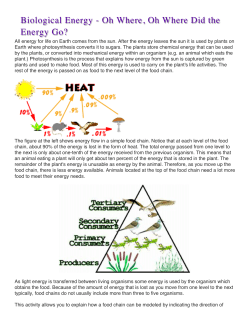 Biological Energy a Oh Where, Oh Where Did the