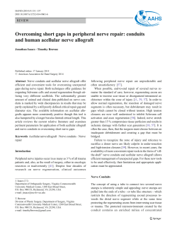 Overcoming short gaps in peripheral nerve repair: conduits and