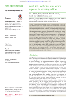 Speed kills: ineffective avian escape responses to oncoming vehicles