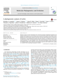 A phylogenomic analysis of turtles - faircloth-lab
