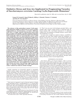 Oxidative Stress and Iron Are Implicated in Fragmenting Vacuoles of