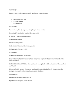 ANSWER KEY Biology 1: Unit 2 (A DNA Mastery Unit) &ndash; Worksheet