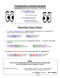 SingularPluralandPossessive Nouns Practice