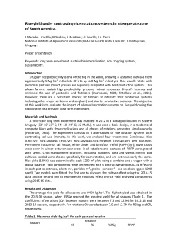 Rice yield under contrasting rice rotations systems in a temperate