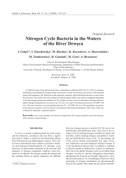 Nitrogen Cycle Bacteria in the Waters of the River Drwęca