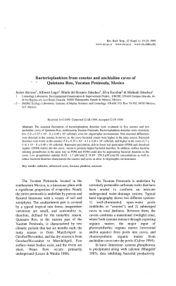 Bacterioplankton from cenotes and anchialine caves of
