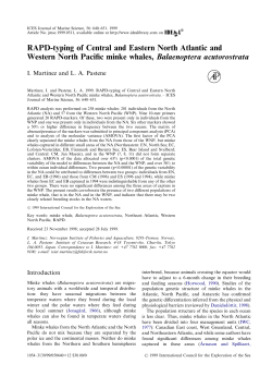 RAPD-typing of Central and Eastern North Atlantic and Western