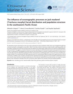 The influence of oceanographic processes on jack mackerel