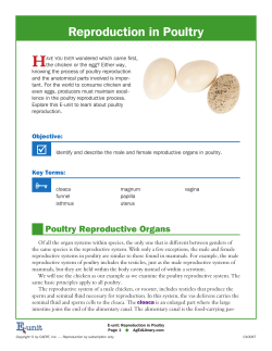 Reproduction in Poultry