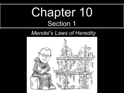 Chapter 10 Section 1 - Mendel