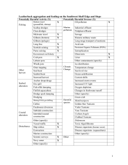 Leatherback aggregation and feeding on the Southwest Shelf Edge