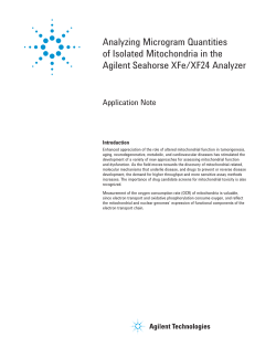 Analyzing Microgram Quantities of Isolated Mitochondria in