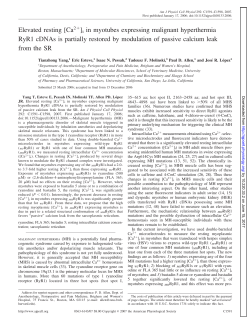 Elevated resting [Ca2]i in myotubes expressing malignant - AJP-Cell