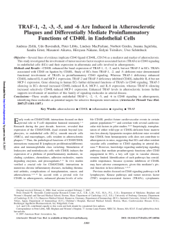 TRAF-1, -2, -3, -5, and -6 Are Induced in Atherosclerotic Plaques
