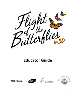 Flight of the Butterflies