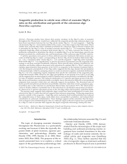 Aragonite production in calcite seas