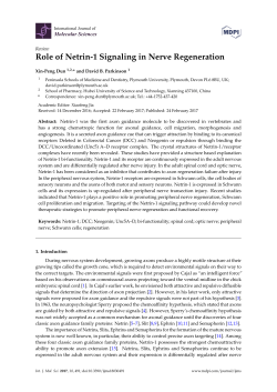 Role of Netrin-1 Signaling in Nerve Regeneration