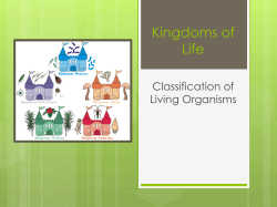Kingdoms of Life