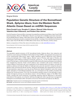 Population Genetic Structure of the Bonnethead Shark, Sphyrna