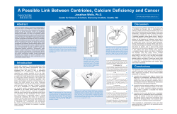 A Possible Link Between Centrioles, Calcium