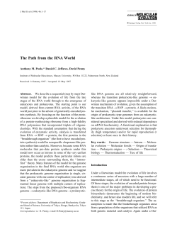 The Path from the RNA World