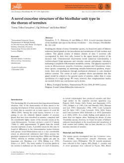 A novel exocrine structure of the bicellular unit type in the