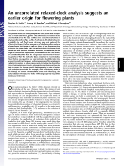 An uncorrelated relaxed-clock analysis suggests