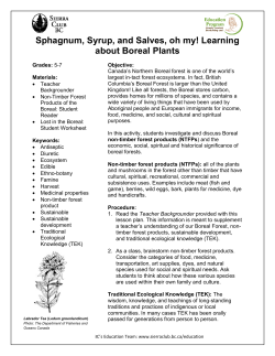 Sphagnum, Syrup, and Salves