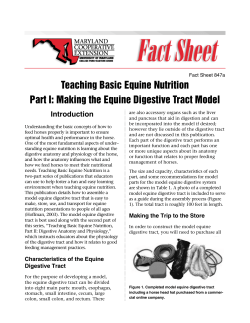 Teaching Basic Equine Nutrition Part I: Making the Equine Digestive