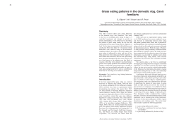 Grass eating patterns in the domestic dog, Canis familiaris
