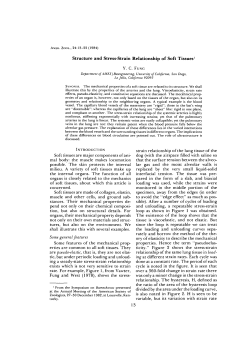 Structure and Stress-Strain Relationship of Soft
