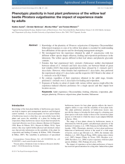 Phenotypic plasticity in host plant preference of the willow leaf