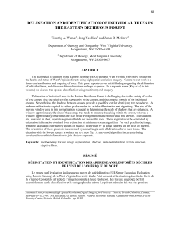 delineation and identification of individual trees in the eastern