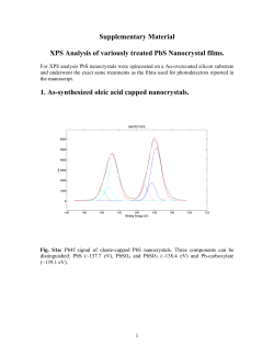 Supplementary Material