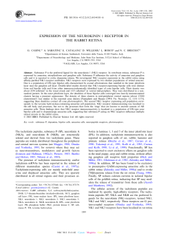 expression of the neurokinin 1 receptor in the rabbit retina
