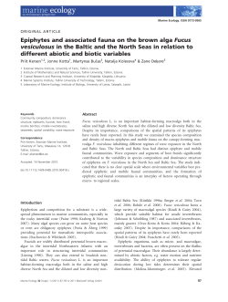 Epiphytes and associated fauna on the brown alga Fucus